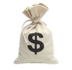 Bolsa de dinero